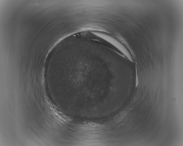 X0000078890387200611271358