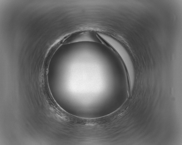 X0000078890388200611271358