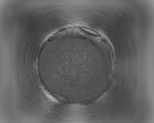 X0000078890389200611271358