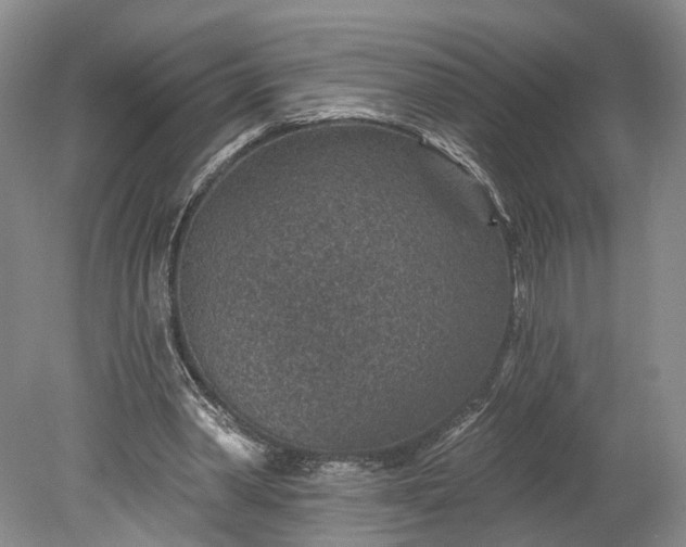 X0000078890390200611271358