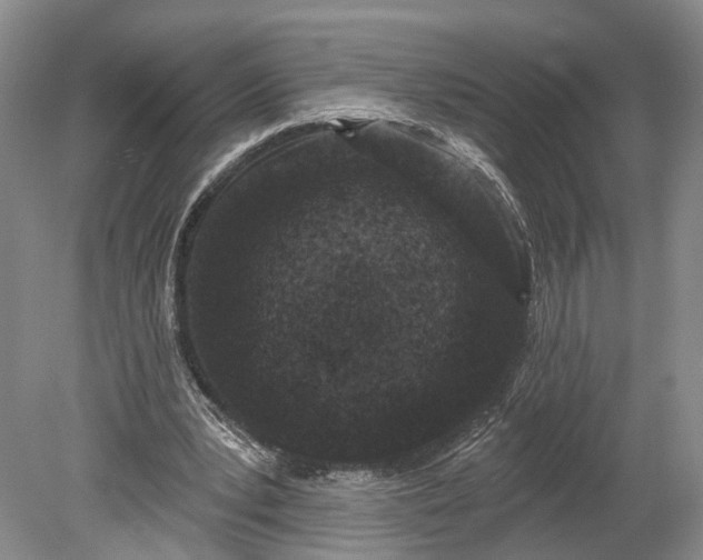 X0000078890391200611271358