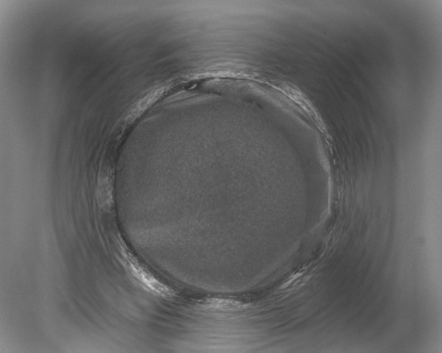 X0000078890393200611271358