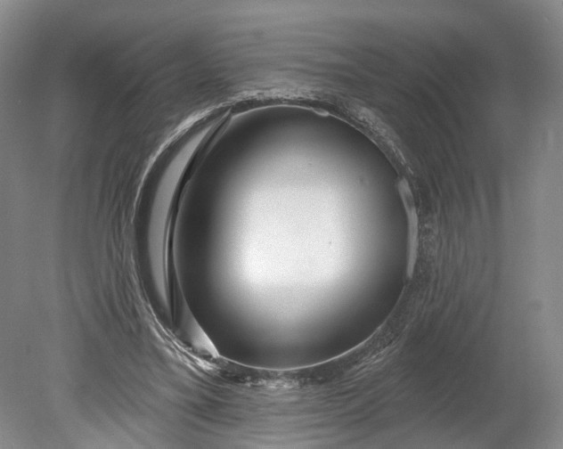 X0000078890395200611271358