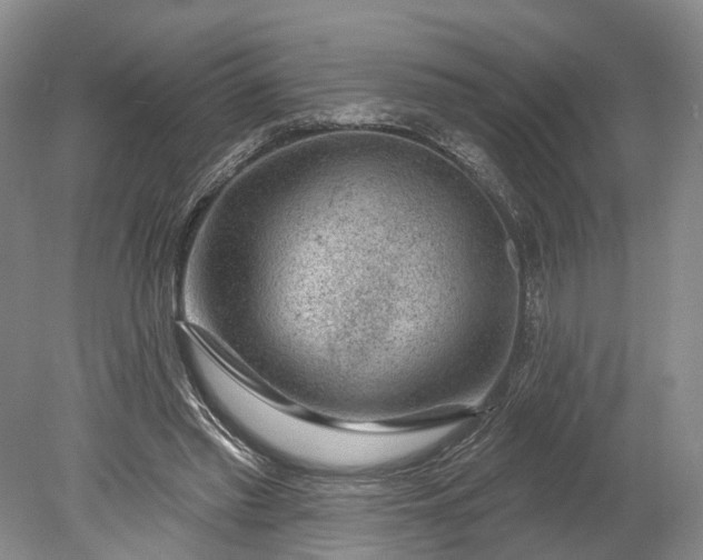 X0000078890397200611271358