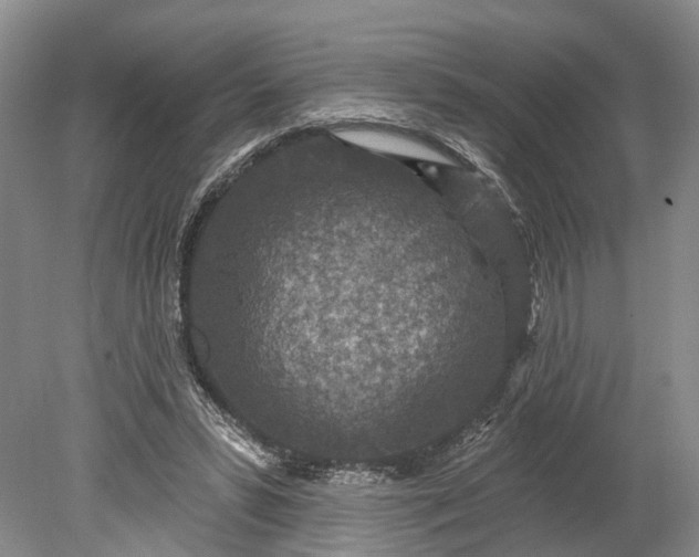 X0000078890399200611271358