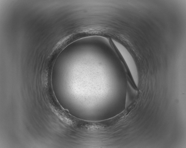 X0000078890400200611271358