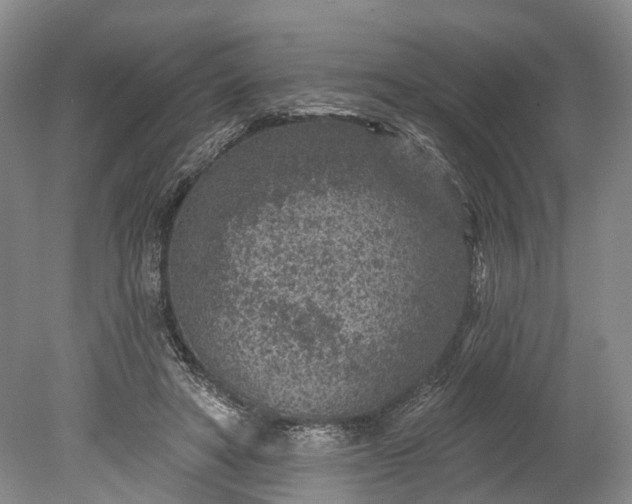 X0000078890402200611271358