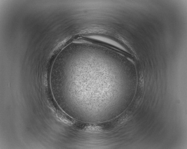 X0000078890403200611271358