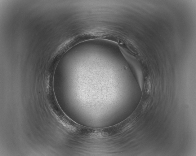 X0000078890404200611271358