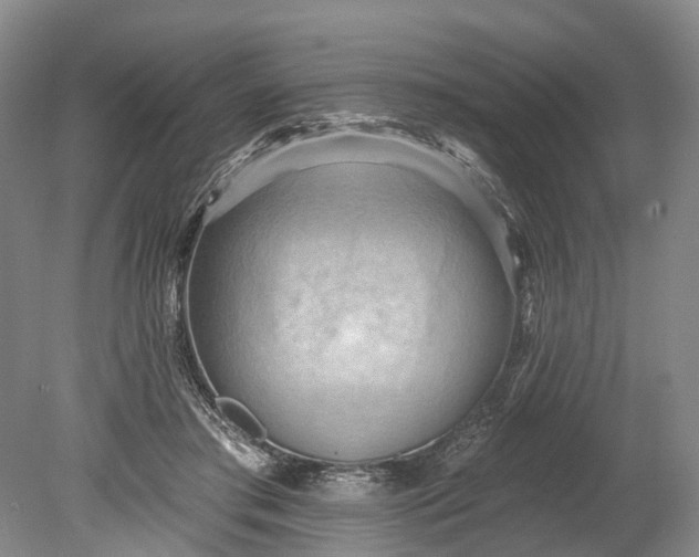 X0000078890405200611271358