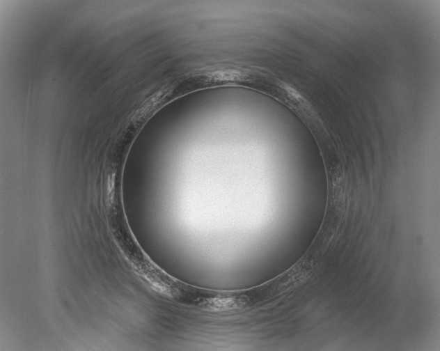 X0000078890406200611271358