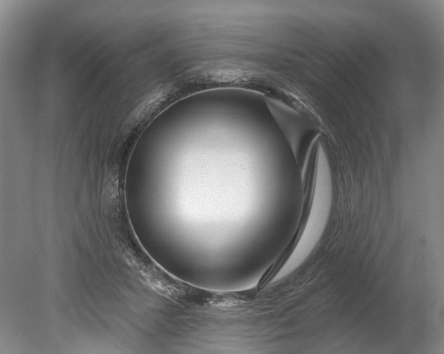 X0000078890407200611271358