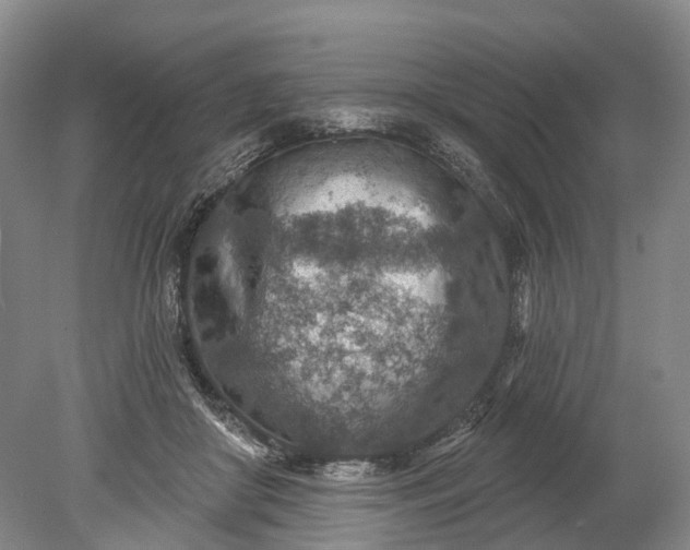 X0000078890410200611271358