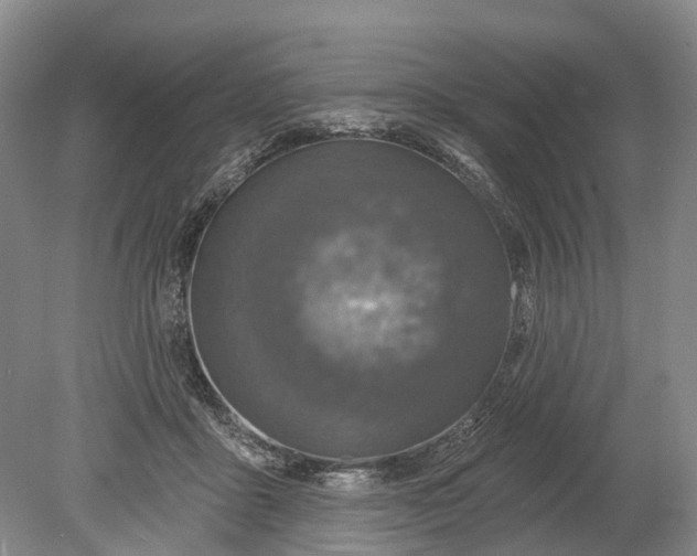 X0000078890411200611271358