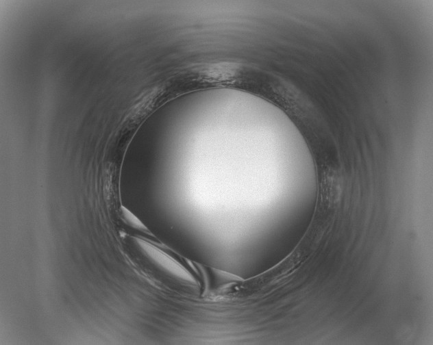 X0000078890412200611271358