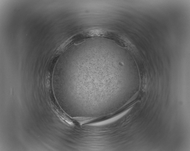 X0000078890413200611271358