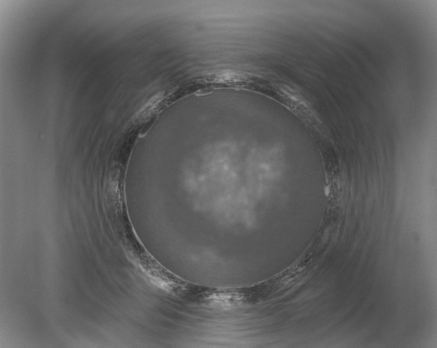 X0000078890415200611271358