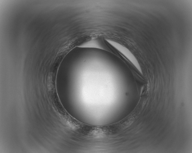 X0000078890416200611271358