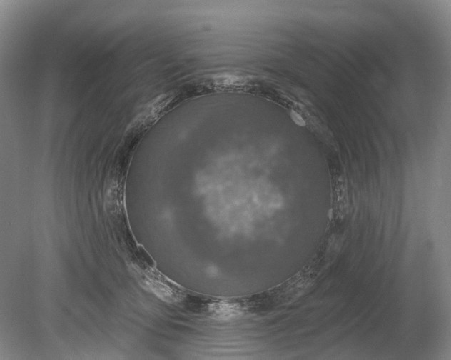 X0000078890419200611271358