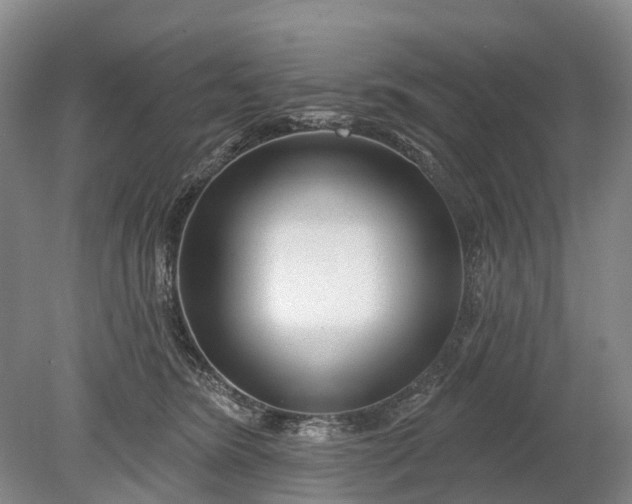 X0000078890420200611271357