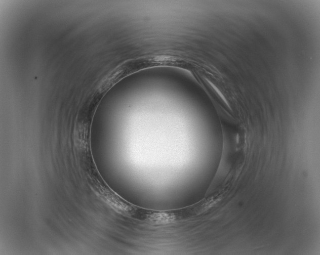 X0000078890421200611271357