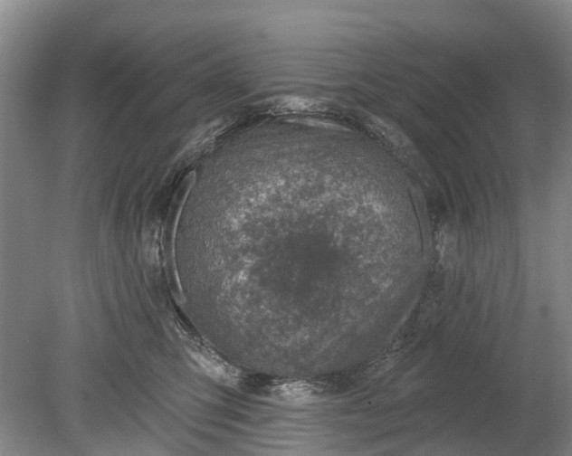 X0000078890423200611271357