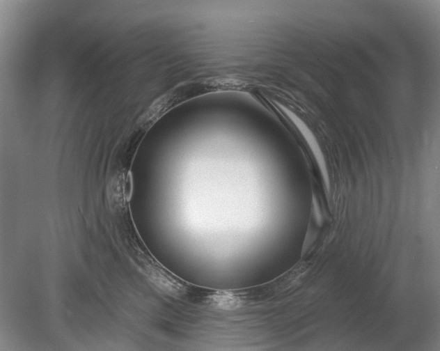 X0000078890425200611271357