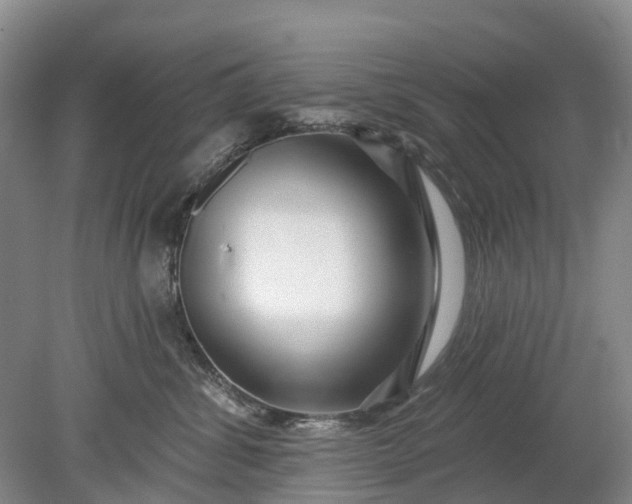 X0000078890428200611271357