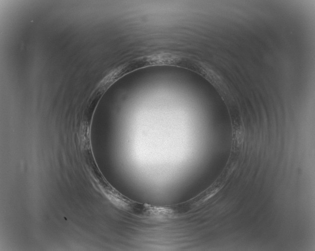 X0000078890429200611271357