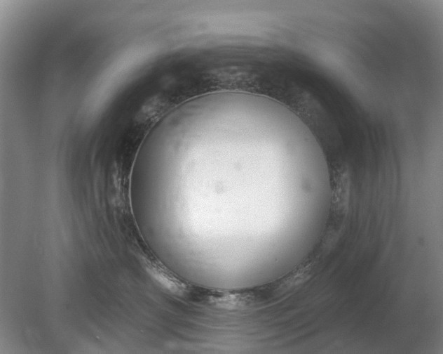 X0000078890430200611271357