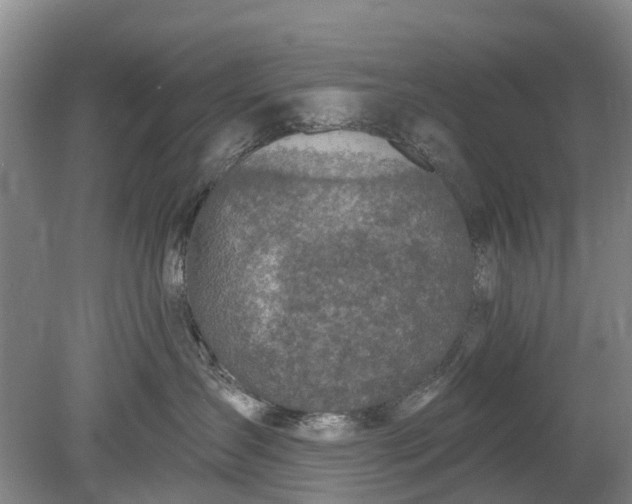 X0000078890431200611271357