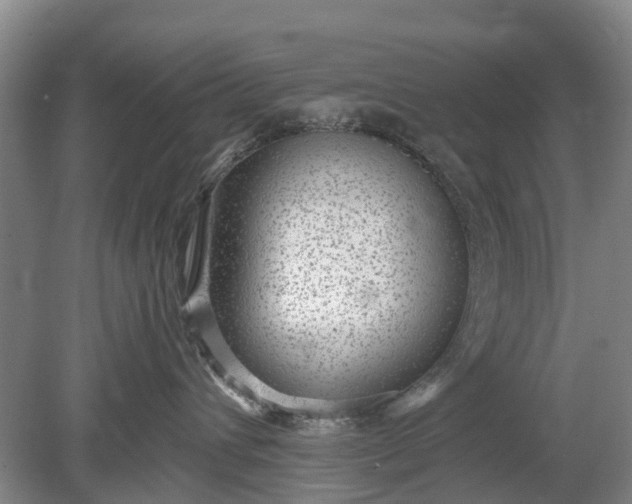 X0000078890432200611271357