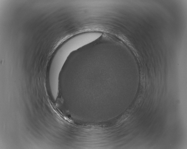 X0000078890434200611271357