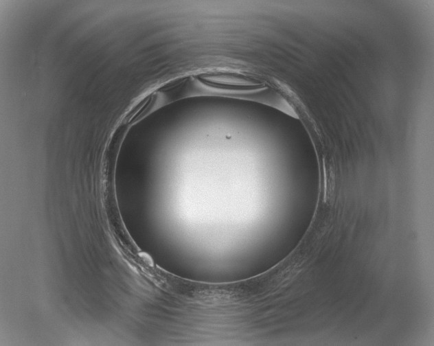 X0000078890435200611271357