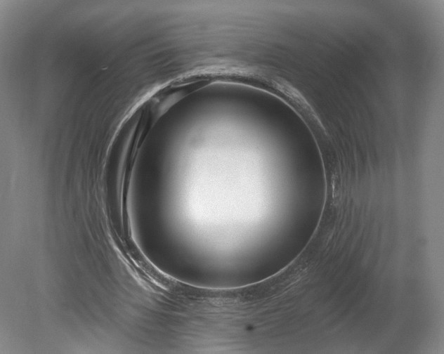 X0000078890436200611271357