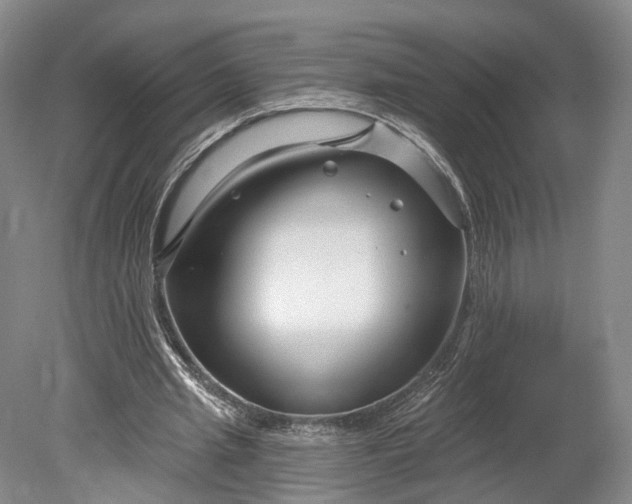 X0000078890437200611271357