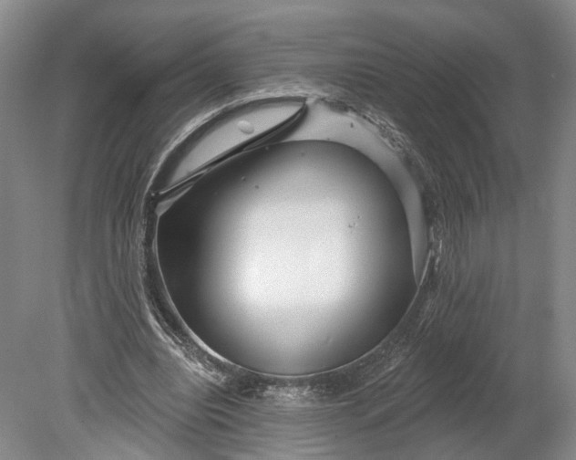 X0000078890440200611271357