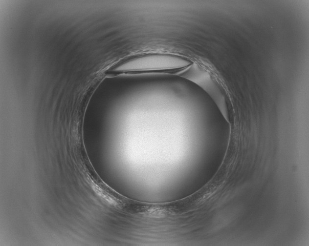 X0000078890441200611271357