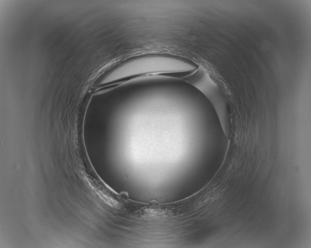 X0000078890442200611271357