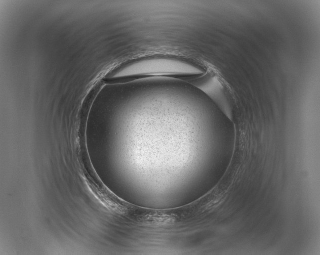 X0000078890443200611271357