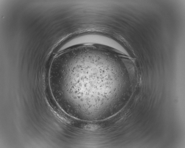 X0000078890444200611271357