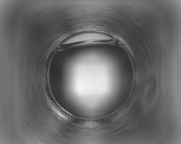 X0000078890445200611271357