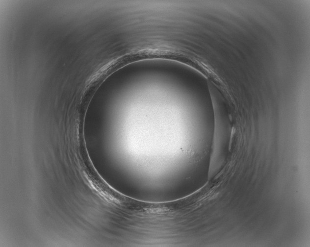 X0000078890446200611271357