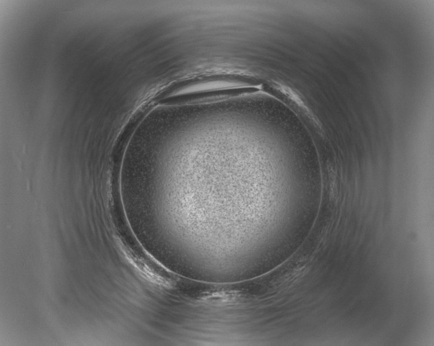 X0000078890447200611271357