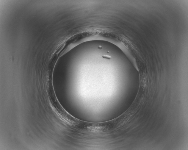 X0000078890448200611271357