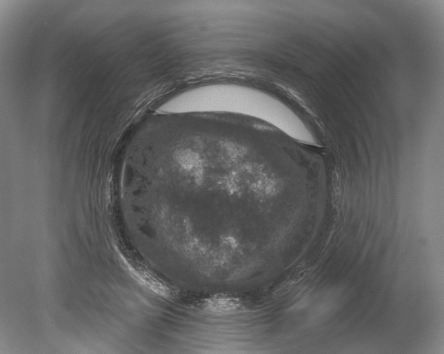 X0000078890451200611271357