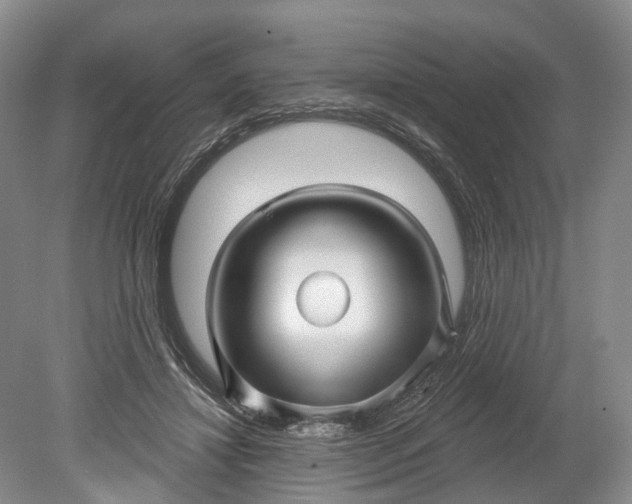 X0000078890452200611271357