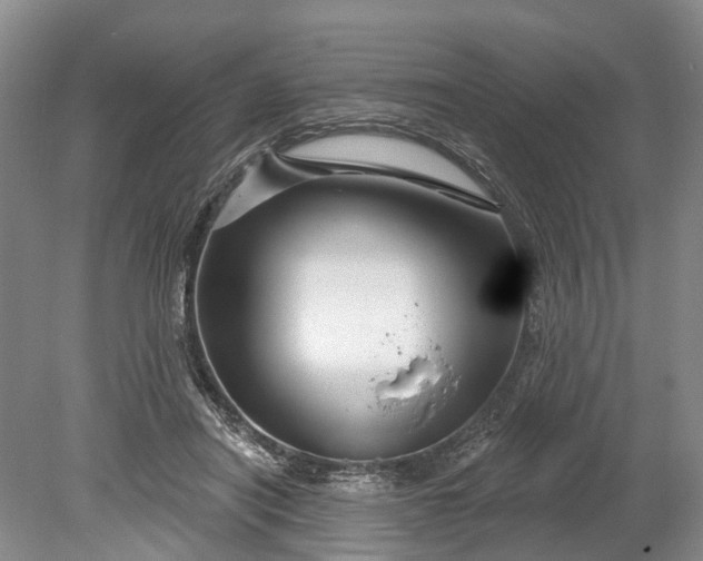 X0000078890454200611271357