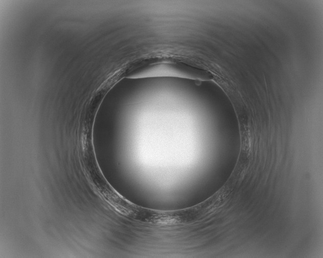 X0000078890456200611271357