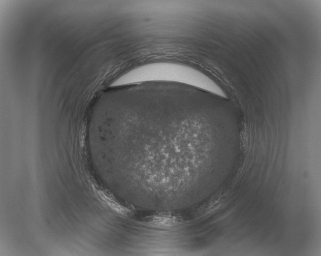 X0000078890458200611271357